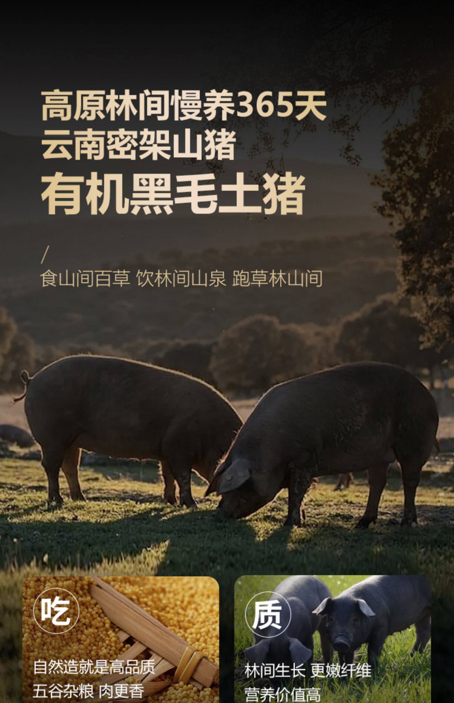 安享好物 安享S级猪油-密架山猪猪油 国标 