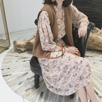 Golden mushroom mushroom suspender long-sleeved two versions of autumn and summer love fresh and elegant floral skirt