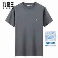 Стандартное издание + среднее серое + tt2ev2a140