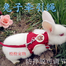 Rabbit Traction Rope Rabbit rabbit Outgoing Rope Slip Rabbit Rope Anti-Escape Adjustable Walking Rabbit Rope Walking Cat Rope Pet Item Ring