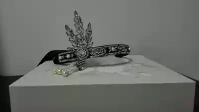 Fashion hair hoop banquet hair band hair accessories