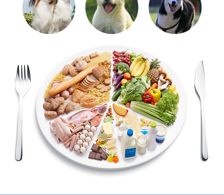 Ba con chó chiến đấu thức ăn chung loại 10 kg lông vàng óng hơn gấu Samoyed 20 lớn nhỏ 40 con chó con chó trưởng thành 5kg - Chó Staples ganador puppy 3kg