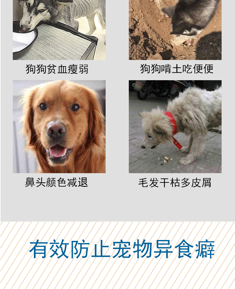 心 狗狗 ​​200 片 宠物 金毛 泰迪 幼犬 Ăn uống chống ăn kiêng chung 啃 - Cat / Dog Health bổ sung Sữa bột cho chó con mới đẻ
