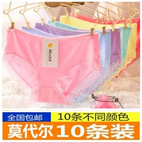 10 hộp quà tặng đồ lót phụ nữ cotton cô gái eo giữa vải cotton - Bộ quà tặng set quần sịp nam đẹp