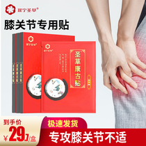 Yaoning Saint - Grass Congou Paste Sacred Paste Cold Paste Bone - Stick Membrane Semimology