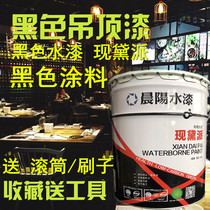 Chenyang Watertight Paint Deppe Pure Black Inner Wall Paint Walls Paint Paint Roof Paint Paint