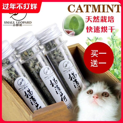 Маленькая дикая леопардовая пробирная труба Тонкая мята закуски для кошачьего кошачья трава натуральная трава кошка для удаления шариков для регулирования желудочно -кишечного тракта