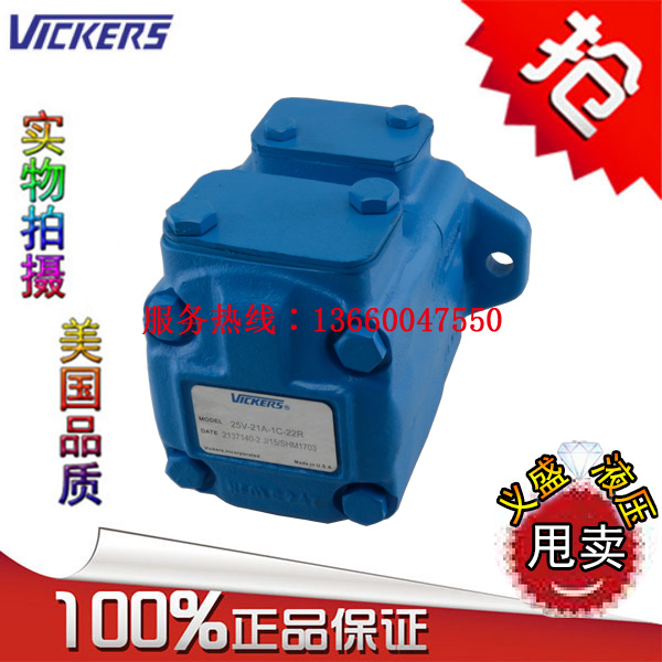 VICKERS VICKERS 25V-10A 12A 14A 15A-1A 1B 1C 1D-22R Vane pump