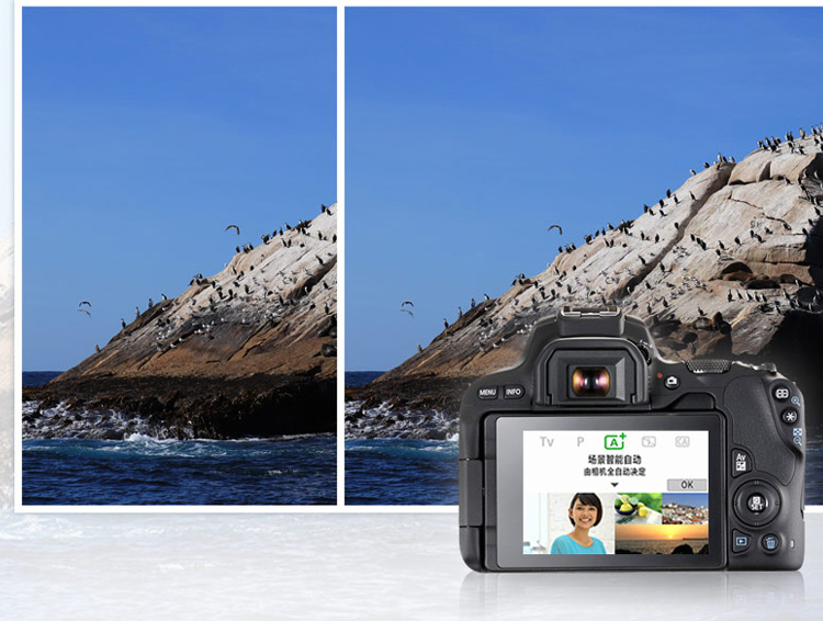 Máy ảnh DSLR / Canon EOS 200D chính hãng hoàn toàn mới của Canon / Canon EOS 200D - SLR kỹ thuật số chuyên nghiệp sony máy ảnh