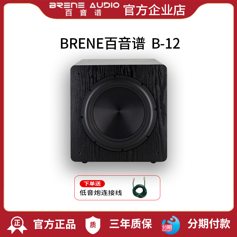 Brene B-12 Subwoofer Home Theater 12inch Super重 Active Seal Subwoofer