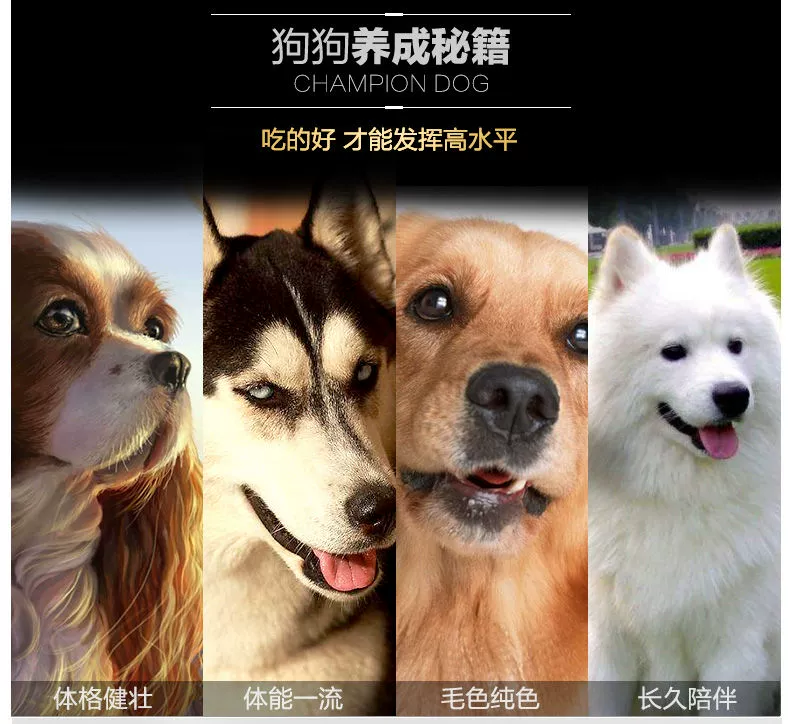 Lemisie Dog Thức ăn 5kg10kg Chó con trưởng thành Universal Teddy Golden Retriever Samora Labrador hơn Xiong Gui - Chó Staples