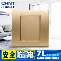 Chint Wall 7L steel frame structure champagne gold fake blank board panel cassette wire box cover baffle blocking plate gold
