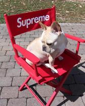 Spot Super 19ss week4 Folding Chair Director Chair Solid Wood Stools Fishing Field Camping Chairs