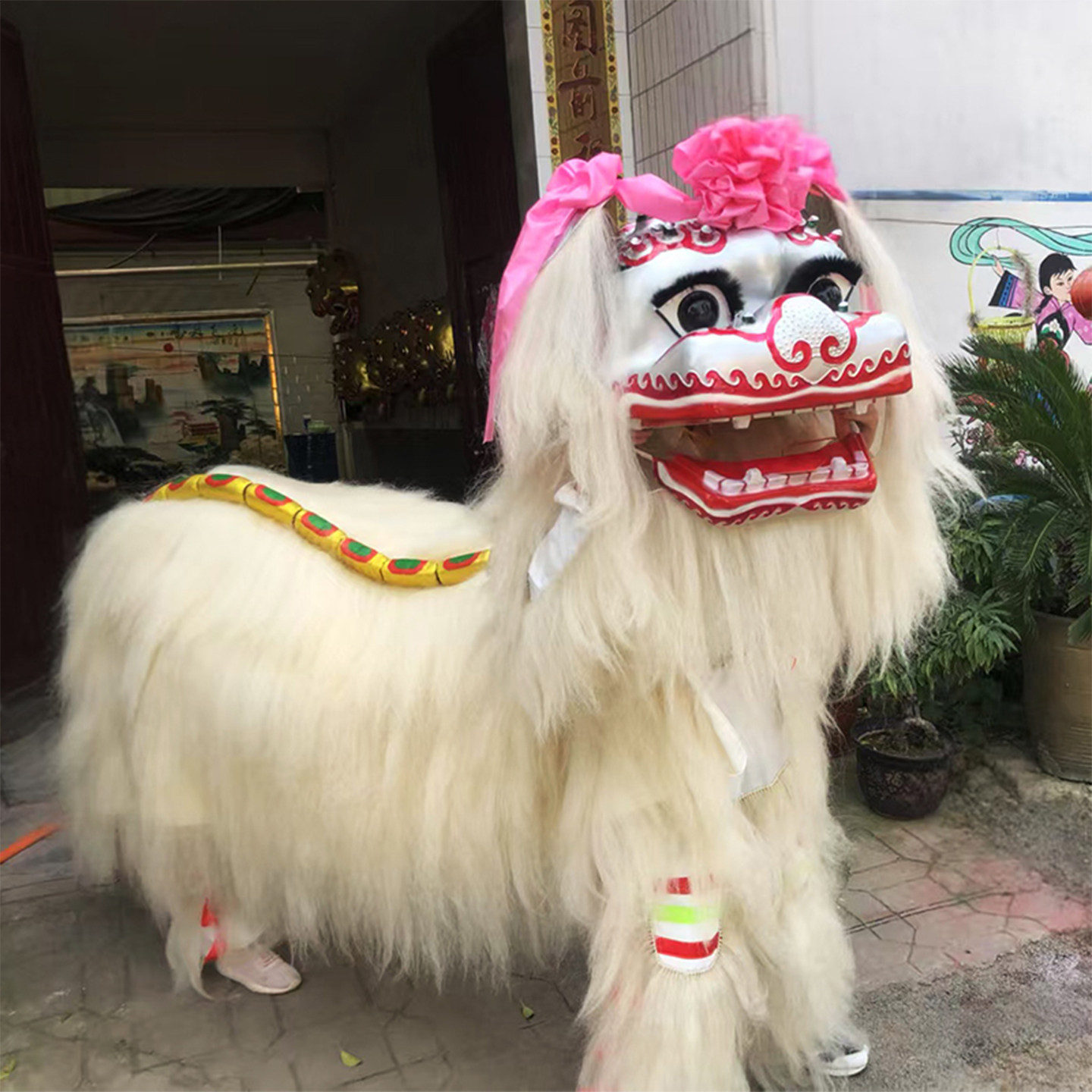 中国风舞龙舞狮道具春节年味北狮成人双人舞狮子绣球服装狮子表演-淘宝
