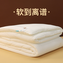 Ultra soft -- Four Seasons Universal Spring autumn and autumn Winter quilt Winter quilted by Winter Thickened Warm Quilt Core Space Quilt