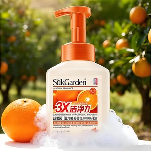 蔬果园鲜橙泡泡洗手液500ml*2瓶