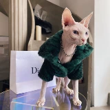 Безволосая одежда для кошек Свинкс немцы осень и зимняя согревая Quan Zhilong и ту же самую пару меха тирана