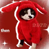 Сфинкс планета безволоса