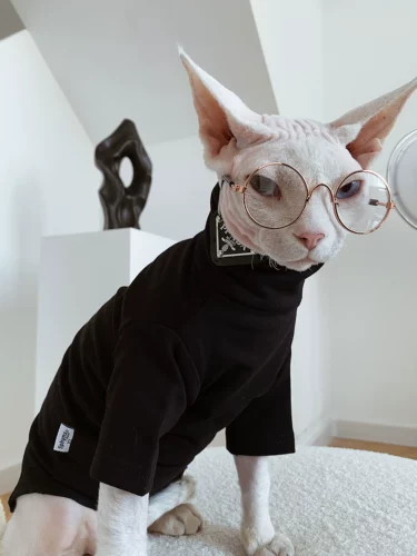 Sphynx планета немецкая одежда