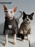 Sphynx планета безволосая кошка Sinox Немецкая одежда Весна и осень -две два -суперкачественные хлопковые края