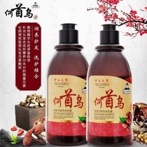 Polygonum Polygonum Sun Yat-Sen University Shampoo Herbs Oil Control White Hair Cnion Pure Plant Herbal Black Hair Wash