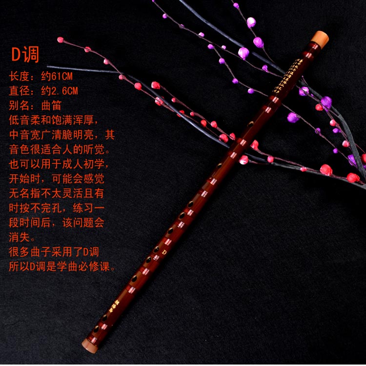  D12-H1-10