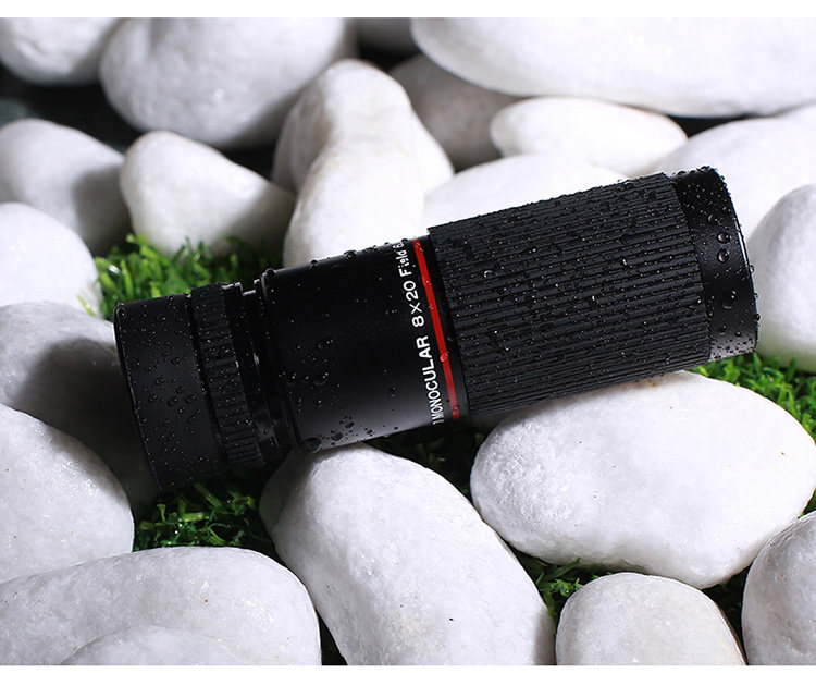 Vixen Single c 15.jpg