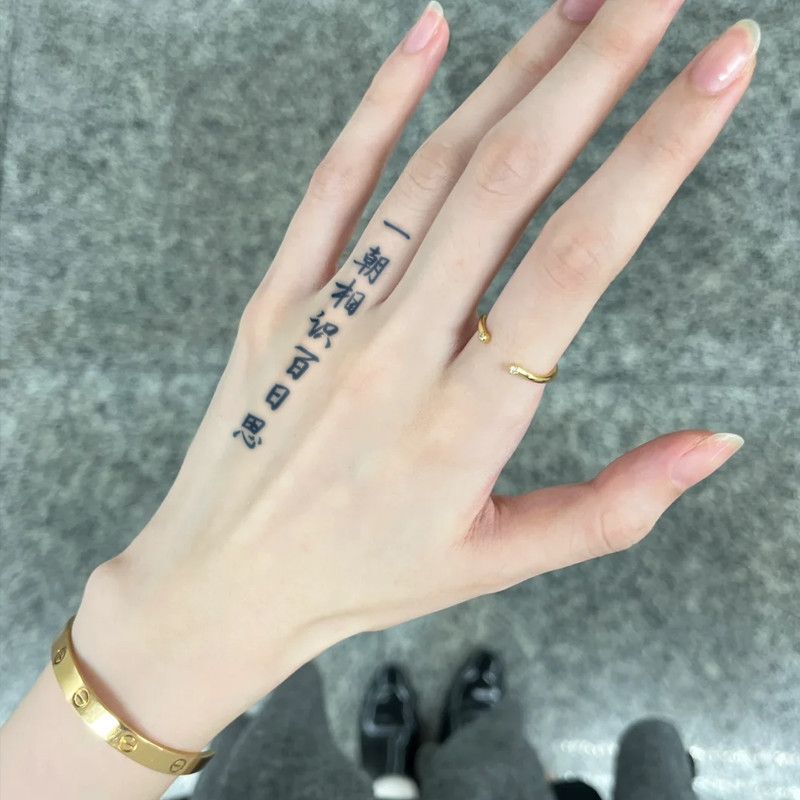 Popular Item: One Day of Meeting, a Hundred Days of Thinking about It. Herbal Juice Tattoo Stickers with Text, Semi-Permanent Tattoo with a Realistic Feel
