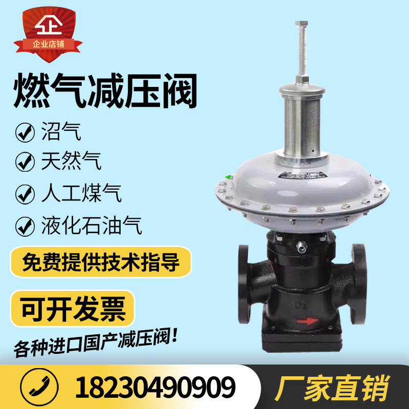 RTZ-K gas gas pressure regulator industrial pressure regulator gas liquefied gas pressure reducing valve gas boiler pressure regulator