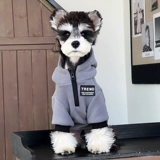 Одежда для собак, маленькая собака, шнауцер, Тедди, померанский шпиц, зимняя теплая одежда, утолщенная бархатная модная толстовка для домашних животных