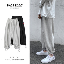 Spring Leisure loose ankle-length pants boys Health pants ins Tide brand bunch foot sports pants spring wear gray pants