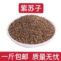Chinese herbal medicine perilla spp. Perilla seed 500g free grinding perilla seed powder