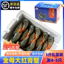 Sanmen blue crab fresh extra large extra large female paste crab red sturgeon extra large crab non-butter crab seafood 3 pounds