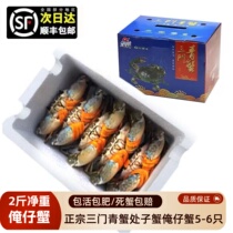 Sanmen blue crab fresh virgin crab baby crab mother crab seafood aquatic products sturgeon specialty 2 pounds 5-6 pieces gift box