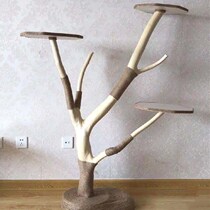Natural large cat climbing frame solid wood material multifunctional cat tree cat nest pet jumping platform integrated cat climbing tree catching board
