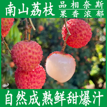 Shenzhen Nanshan Guiwei glutinous rice and lychee glutinous rice cakes are fresh sweet and juicy Dragon Boat Festival gifts fresh fruits for pregnant women and children