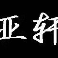 亚轩实木