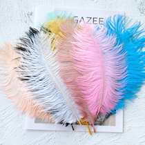 (Ostrich feathers)ins Nordic flower arrangement decoration bed and breakfast decoration Wedding clothing shop Peacock real feathers