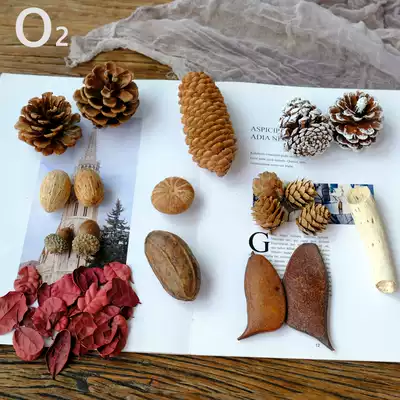 (Natural dried fruit) zakka pine cone wood chips leaves ACORN pine cone tree branches photography toddler DIY material