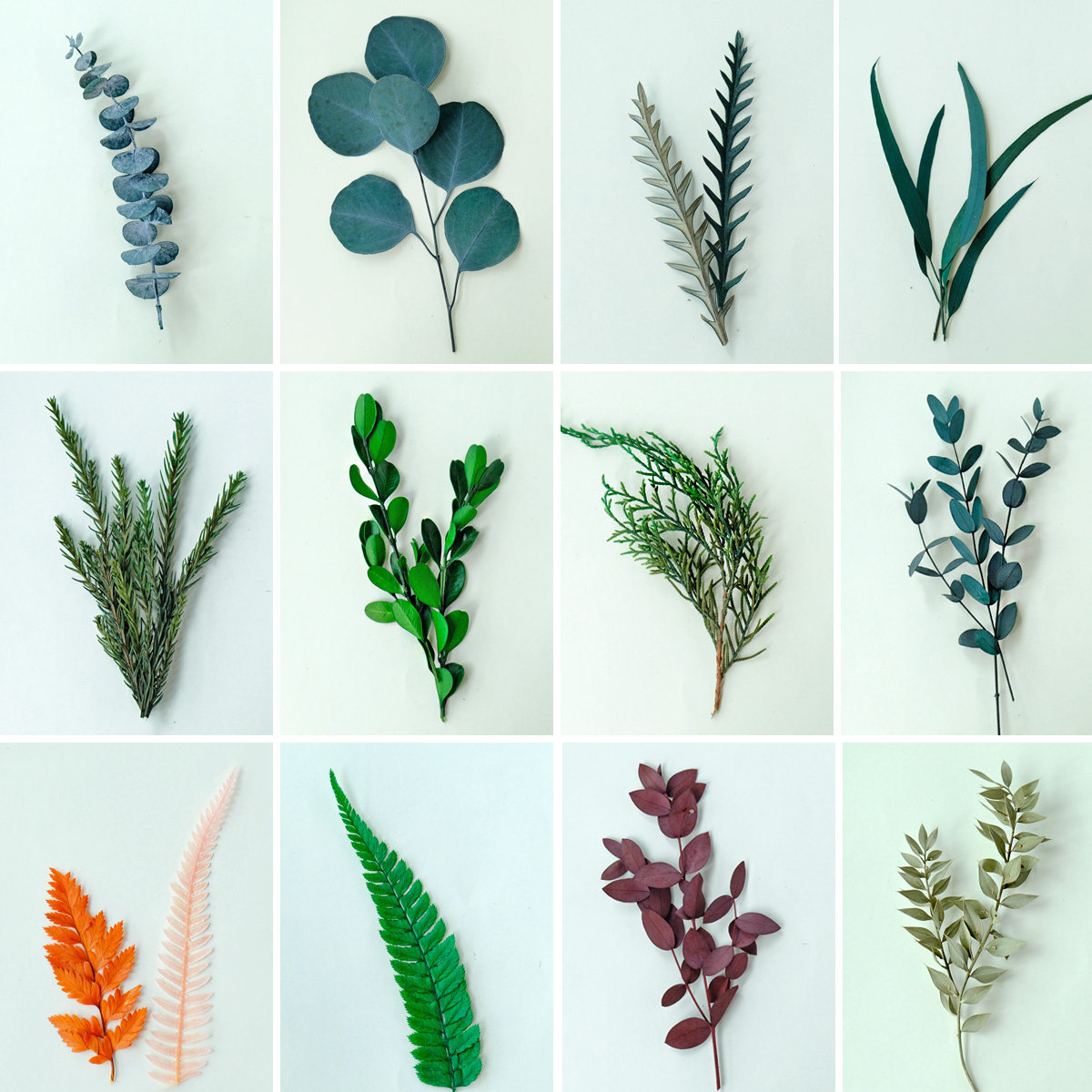 (Collection of Leaf Materials) Immortal Eucalyptus Leaf Kindergarten DIY Handmade Photo Frame Group Fan Handmade Decoration Materials