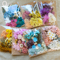 (Floral material package)Eternal dry flower material photo frame fan painting greeting card dry flower handmade natural real flower box drop glue