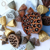 (Dried lotus) true dried flower plant specimen seed DIY handmade floral material dried fruit homestay Chinese decoration