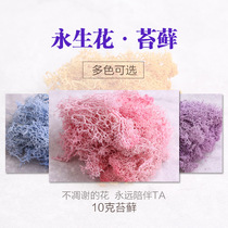 High quality immortal Moss handmade DIY material blind box fan photo frame glass cover Mori wreath plant wall decoration