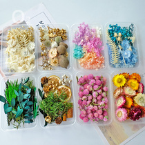 (DIY flower box) eternal life dry flower handwork leaves real flower drops glue plant wax brand retro decorative painting