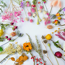 (Dry flower head)Drop glue pressed flower Real flower eternal flower Photo frame invitation wedding invitation wax brand handmade diy decorative materials