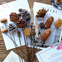 (Retro dried flower dried fruit) natural branches pine cone Lotus Reed ACORN flower arrangement INS Chinese homestay flower art