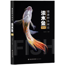 Fujian wild common freshwater fish picture book Live Photos Lins crucian carp