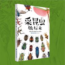 Placing insects to make specimens Popular Science childrens extracurricular books Tang Liangtu practice album
