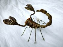 Brown woven crafts animals scorpions straw woven crafts photography props making intangible cultural heritage gifts