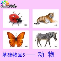 Nouns cognitive animals autism growth retardation hearing impaired children ABA training cards early teaching aids